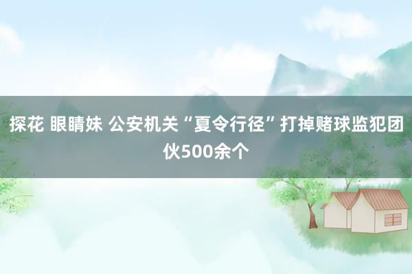 探花 眼睛妹 公安机关“夏令行径”打掉赌球监犯团伙500余个