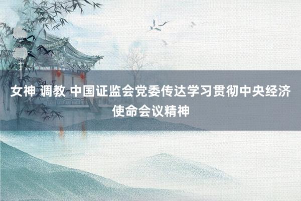 女神 调教 中国证监会党委传达学习贯彻中央经济使命会议精神