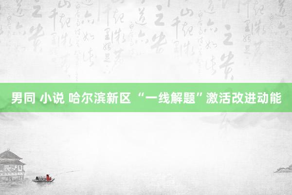 男同 小说 哈尔滨新区 “一线解题”激活改进动能