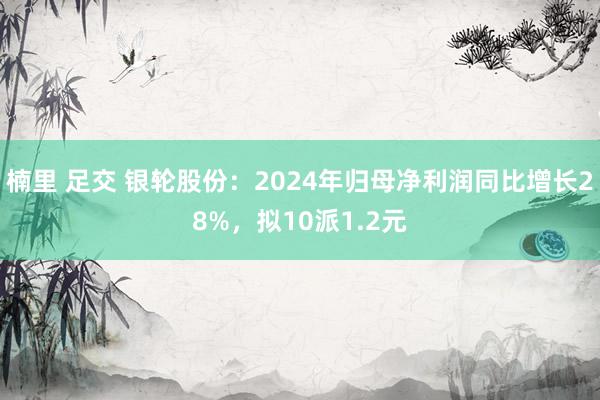楠里 足交 银轮股份：2024年归母净利润同比增长28%，拟10派1.2元